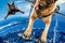 Affiche du film Comme chiens et chats - La revanche de Kitty Galore