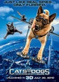 Comme chiens et chats - La revanche de Kitty Galore