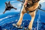 Affiche du film Comme chiens et chats - La revanche de Kitty Galore