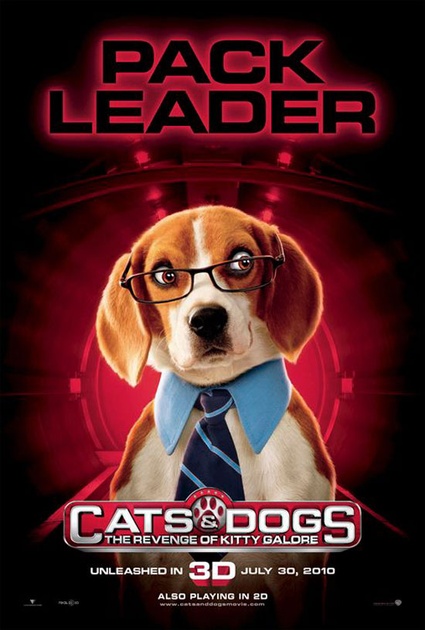 affiche pack leader