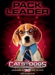 affiche pack leader