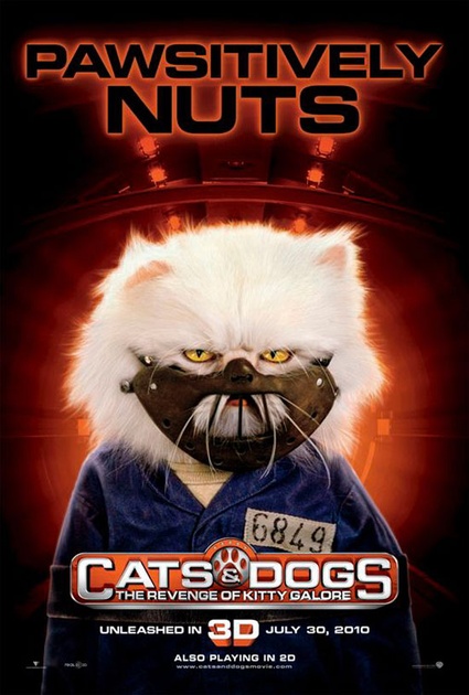affiche pawsitively nuts