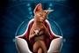 affiche sour puss