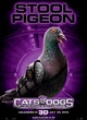 affiche stool pigeon