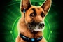 affiche top dog