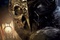 affiche teaser metalbeak