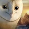 affiche teaser soren - Le Royaume de Ga'Hoole - La légende des gardiens 