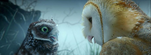 deux chouettes