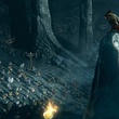 le grand conseil des chouettes