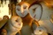 une famille de chouette
