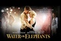 poster teaser am ricain