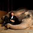 robert pattinson