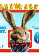 affiche teaser americaine