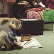 hop le lapin