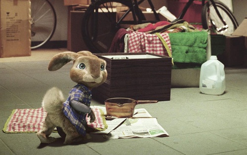 hop le lapin