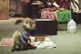hop le lapin