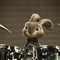 hop - Hop 
