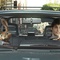 james marsden et hop - Hop 