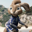 lapin-voiture-jpg