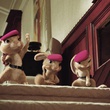 lapins-jpg