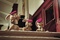 lapins-jpg