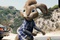 le lapin hop