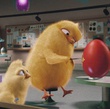 poussin-ballon-jpg