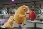 poussin-ballon-jpg