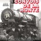 seconde affiche du film les convois de la honte - Les Convois de la honte 