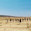 une-troupe-de-soeurs-jpg