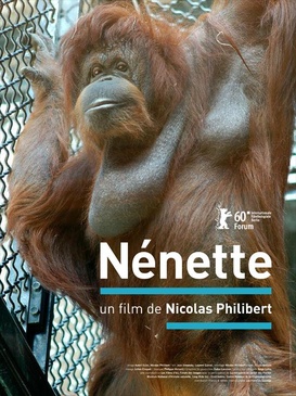 Affiche du film Nénette