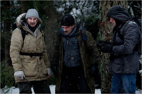 liam-neeson-a-gauche-jpg