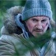 liam-neeson-dans-la-foret-jpg