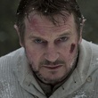 neeson-liam-jpg