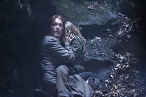 julianne moore Shelter