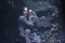 julianne moore Shelter
