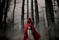 Affiche du film Red Riding Hood 