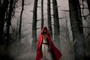 Affiche du film Red Riding Hood 