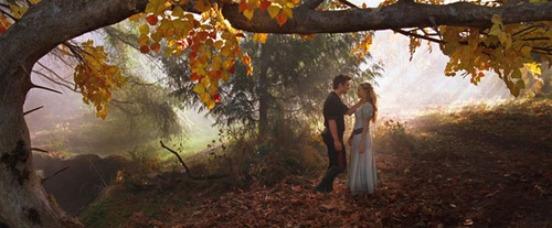 shiloh-fernandez-et-amanda-seyfried-jpg