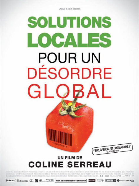 Affiche du film Solutions locales pour un désordre global