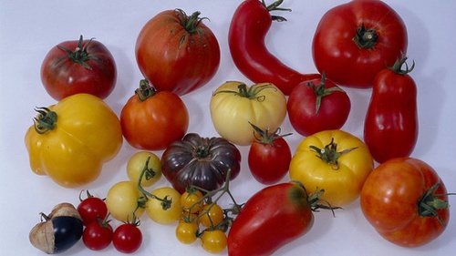 l  gumes dans le documentaire