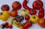 l  gumes dans le documentaire