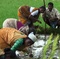 travailleurs Docu Coline Serreau - Solutions locales pour un désordre global 
