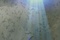 des personnes dans le ciel