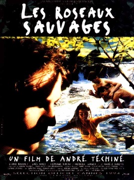 Affiche du film Les Roseaux sauvages