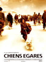 Affiche du film Chiens égarés