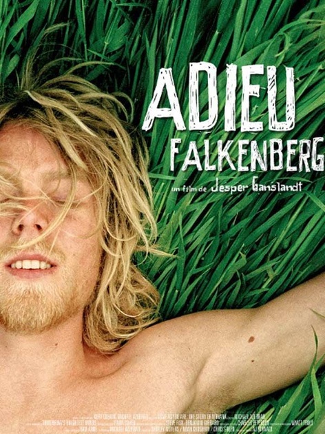 Affiche du film Adieu Falkenberg
