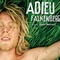 Affiche du film Adieu Falkenberg - Adieu Falkenberg 