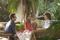 michael vartan jennifer lopez jane fonda