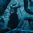 angelina-jolie-jpg
